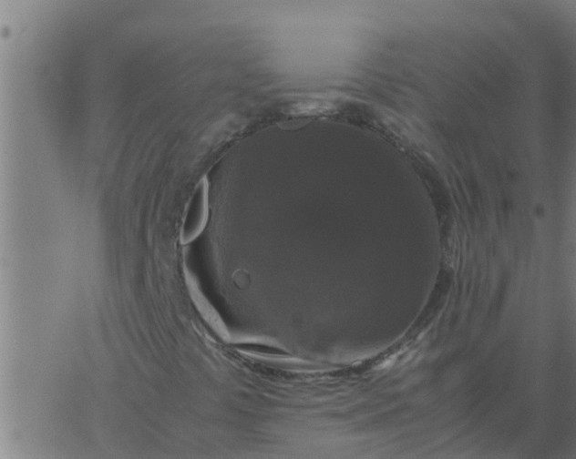 X0000062851441200601272029