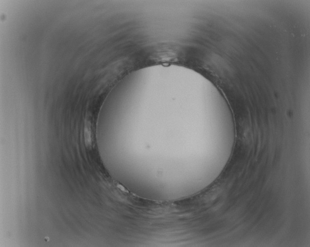 X0000062851442200601272029