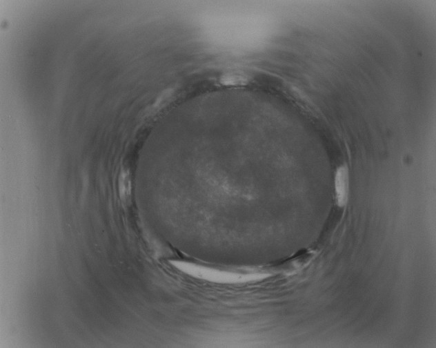 X0000062851443200601272029