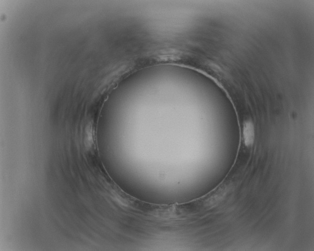 X0000062851444200601272029