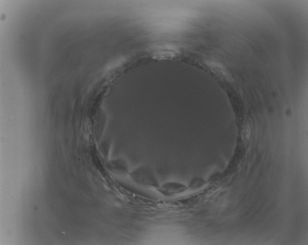 X0000062851445200601272029