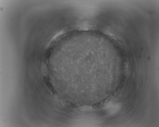 X0000062851446200601272029