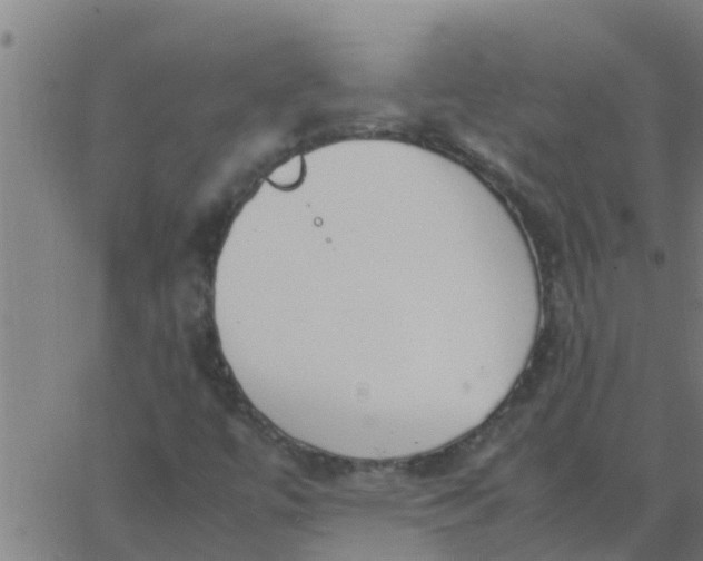 X0000062851447200601272029