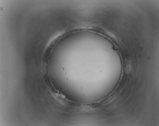 X0000062851448200601272029