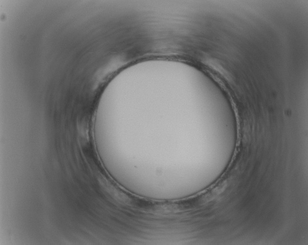 X0000062851451200601272029