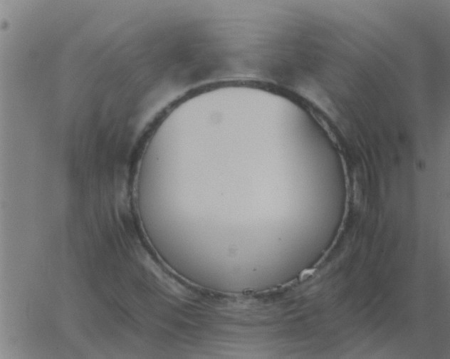 X0000062851452200601272029