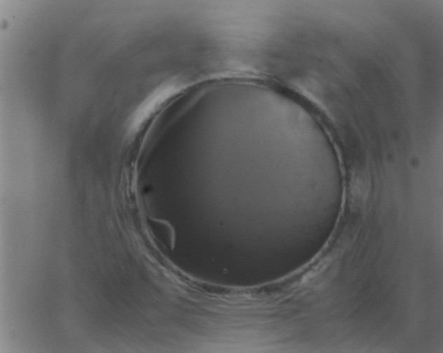 X0000062851455200601272029