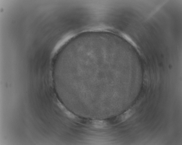 X0000062851456200601272029