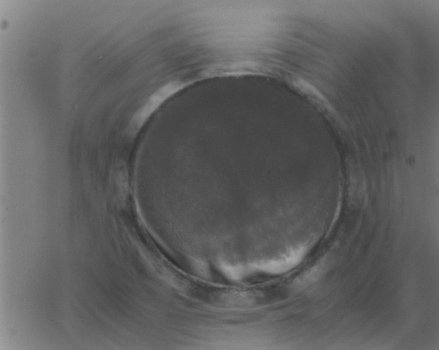 X0000062851457200601272029