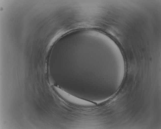 X0000062851459200601272029