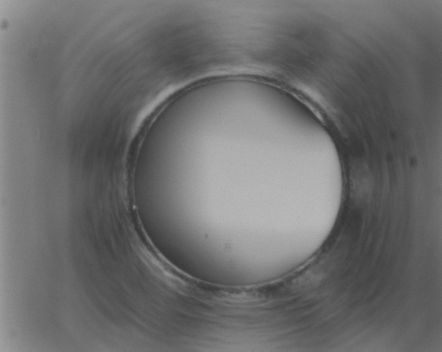 X0000062851460200601272029