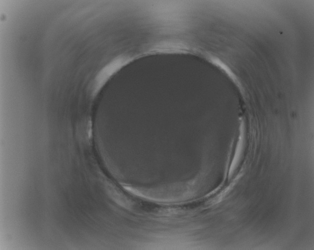 X0000062851461200601272029