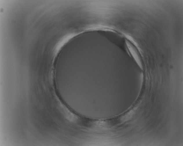 X0000062851463200601272029