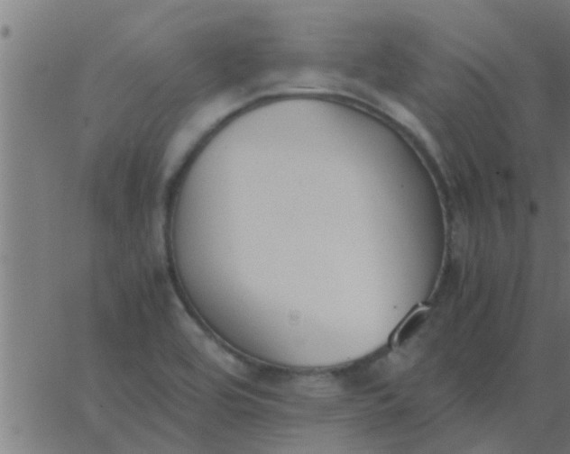 X0000062851464200601272029