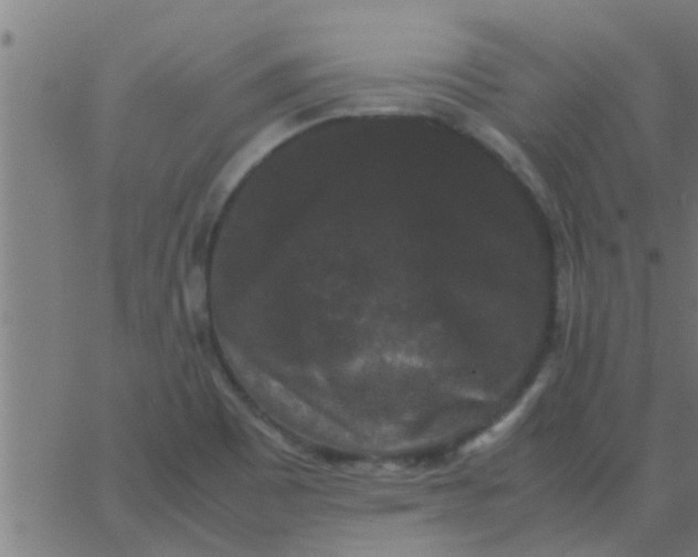 X0000062851465200601272029