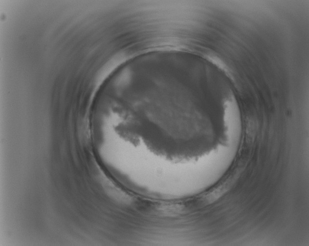 X0000062851466200601272029