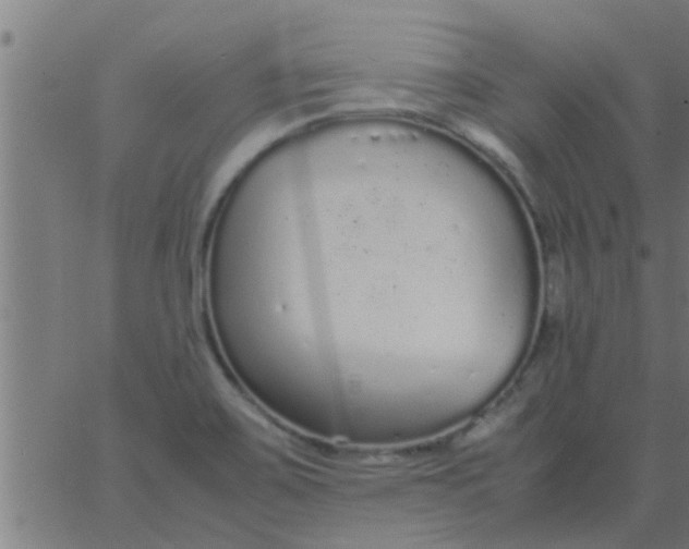 X0000062851467200601272029