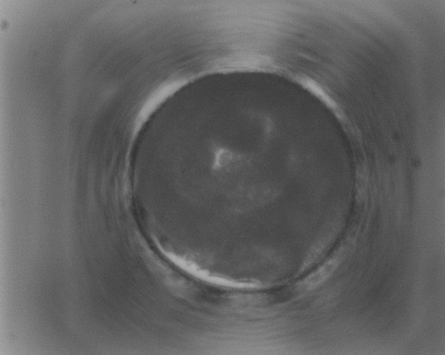 X0000062851469200601272029