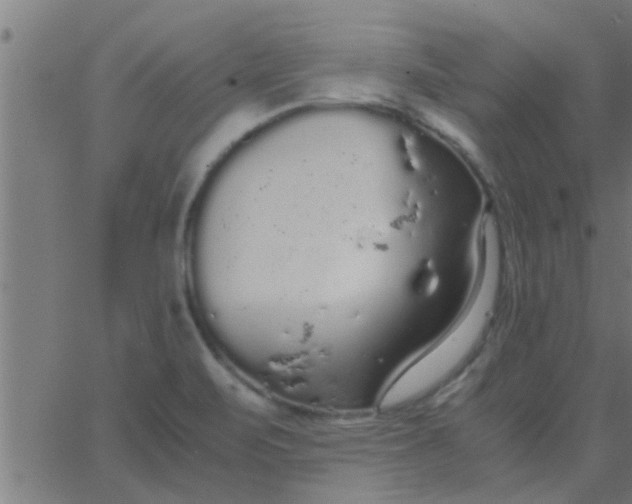 X0000062851471200601272029