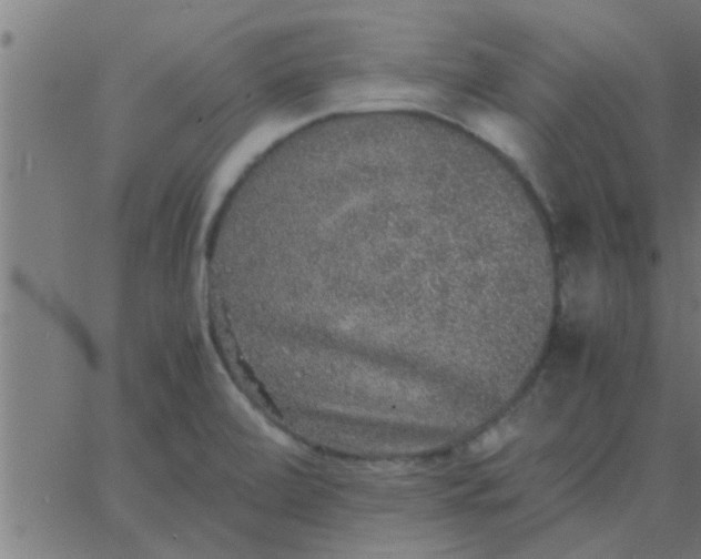 X0000062851472200601272029