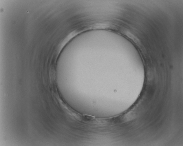 X0000062851473200601272029