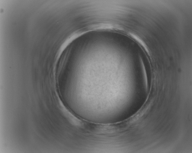 X0000062851475200601272029