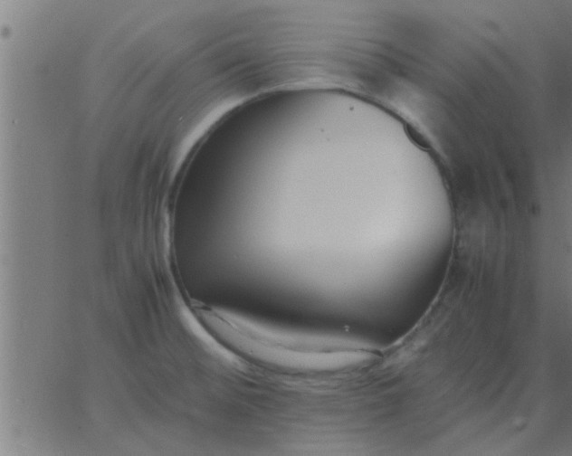 X0000062851476200601272029