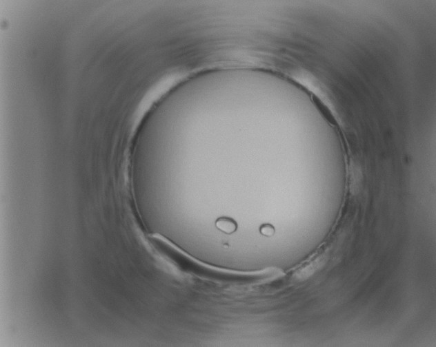 X0000062851477200601272029