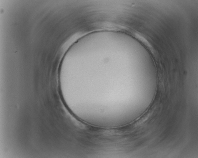 X0000062851479200601272029