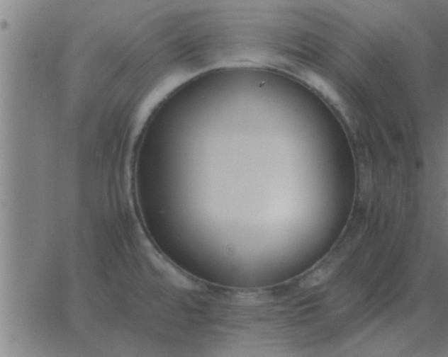 X0000062851480200601272029