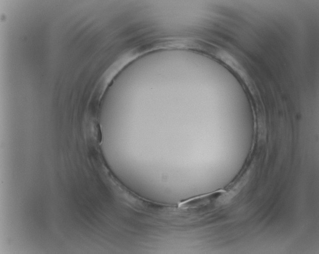 X0000062851481200601272029