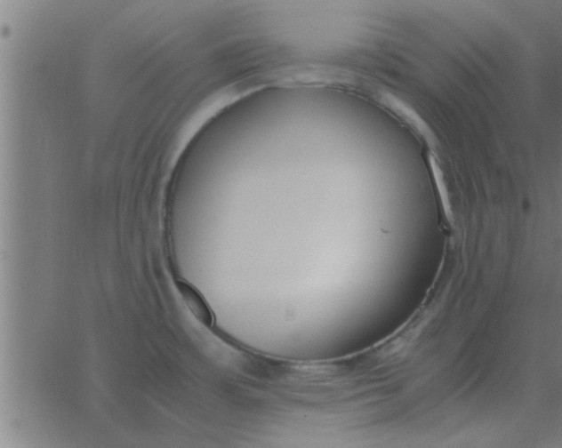 X0000062851483200601272029