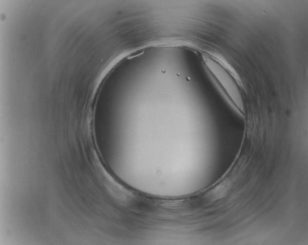 X0000062851484200601272029