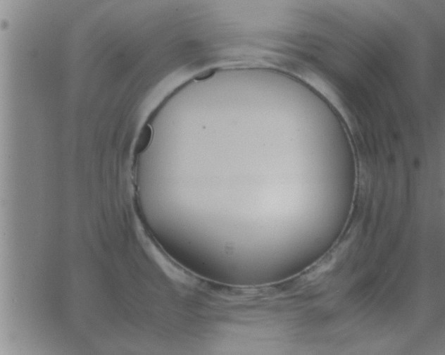 X0000062851485200601272029