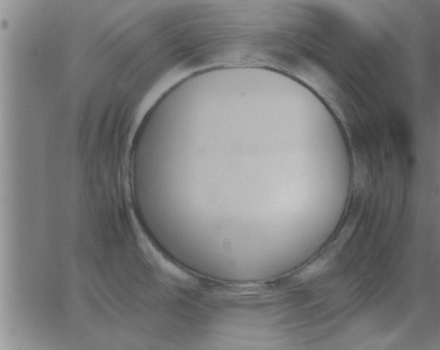 X0000062851486200601272029