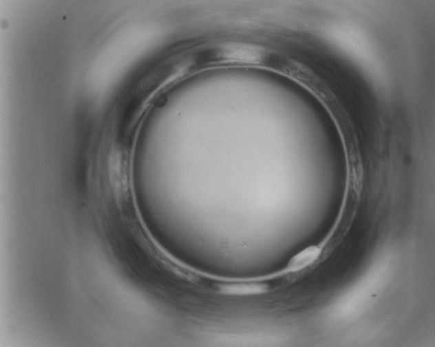 X0000062851487200601272029