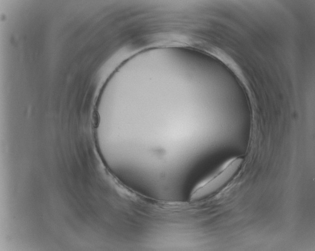 X0000062851488200601272029