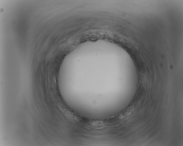 X0000062851489200601272028