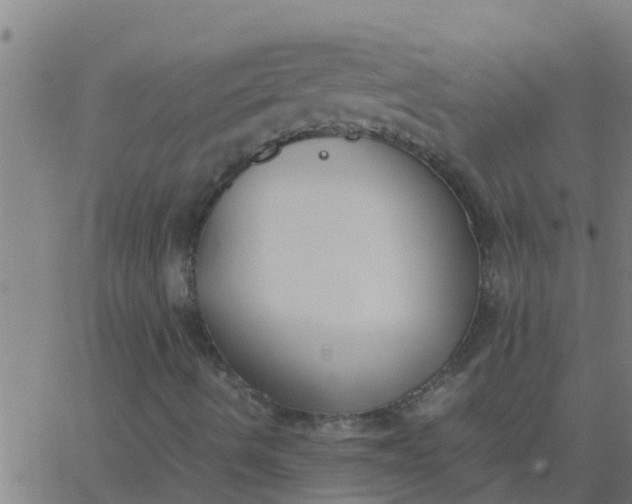 X0000062851490200601272028