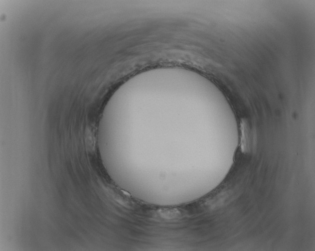 X0000062851491200601272028