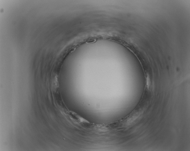 X0000062851492200601272028