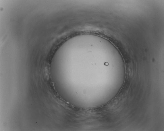 X0000062851493200601272028