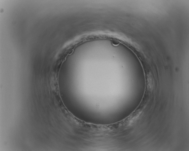 X0000062851494200601272028