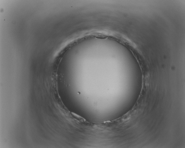 X0000062851496200601272028