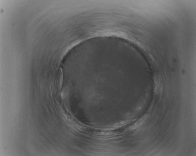 X0000062851497200601272028