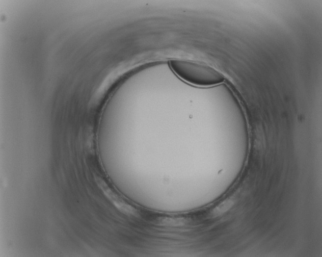 X0000062851499200601272028