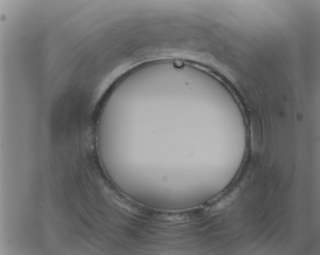 X0000062851501200601272028