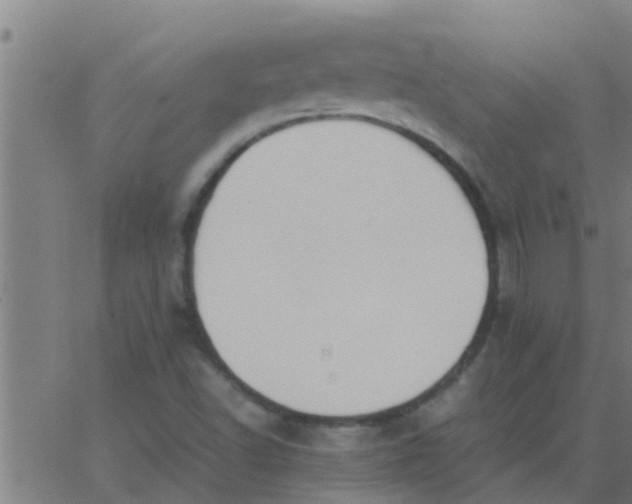 X0000062851502200601272028