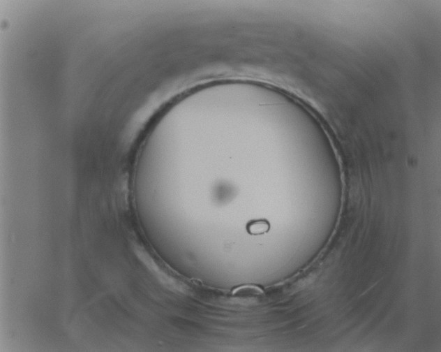 X0000062851503200601272028