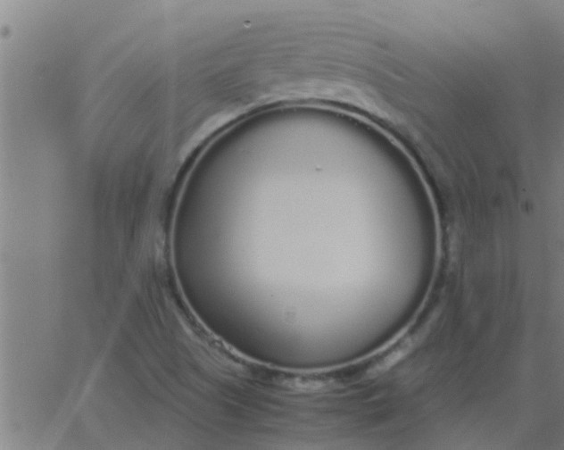 X0000062851505200601272028